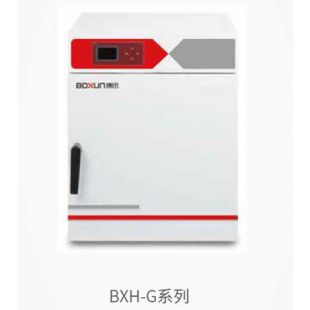 上海博迅BXH-65G干热灭菌箱（100℃）