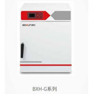 上海博迅BXH-210G干熱滅菌箱（100℃）