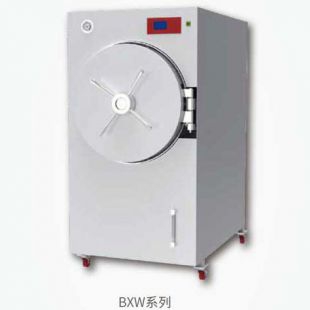 上海博迅BXW-280SD-AI卧式压力蒸汽灭菌器（辐栅结构）