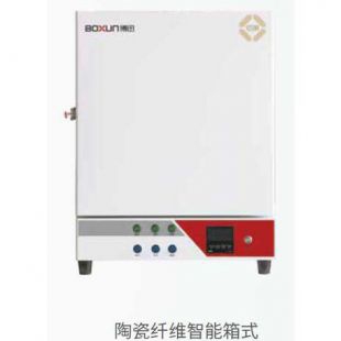 上海博迅SX2-16-10TZ陶瓷纤维智能箱式电阻炉