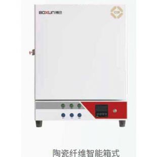 上海博迅SX2-12-10TZ陶瓷纤维智能箱式电阻炉