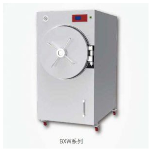 上海博迅BXW-500SD-GI卧式压力蒸汽灭菌器（辐栅结构）