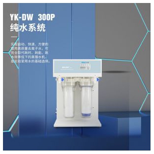 YK-DW 300-P-检验分析用纯水机(纯水自吸)-上海和泰