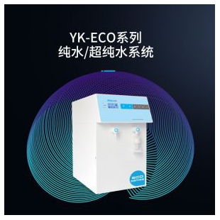 YK-Eco-RS48-双级反渗透基础型超纯水机  -上海和泰