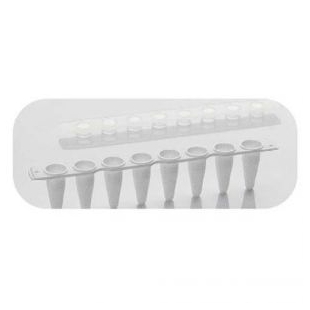 PCR 8联管（带盖）-PCR-021T- 海尔生物医疗