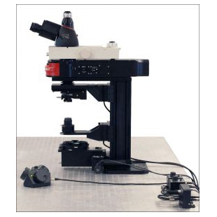Cerna®显微镜，用于可见光和近红外波段的落射荧光和DIC