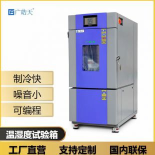 小型高低温模拟试验箱63升温湿度实验箱 可程式