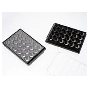 上海晶安24孔活细胞成像专用黑色避光玻璃底细胞培养板