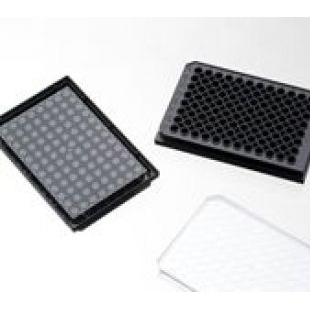 上海晶安96孔激光共聚焦显微镜扫描细胞培养板 黑色避光玻璃底96孔板