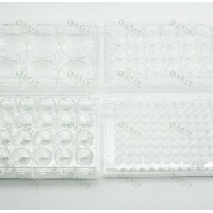 上海晶安PLL聚赖氨酸包被6孔12孔24孔96孔细胞培养板