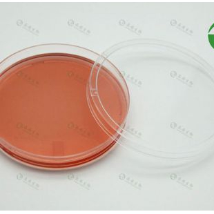 上海晶安层粘连蛋白预包被35mm60mm100mm细胞培养皿