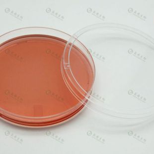 上海晶安Mtrigel基质胶预包被35mm60mm100mm细胞培养皿