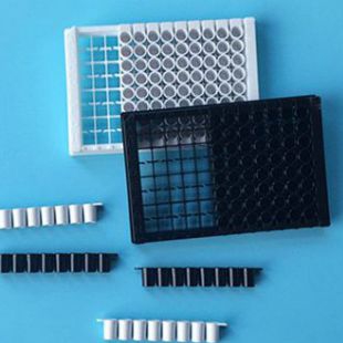 上海百千96孔全黑可拆酶标板 全白可拆酶标板 黑色白色可拆卸微孔板 不透光平底96孔板