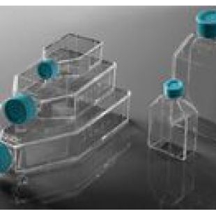 上海百千定制t25t75多聚赖氨酸包被细胞培养瓶 PDL预处理培养瓶 明胶蛋白包被细胞培养瓶