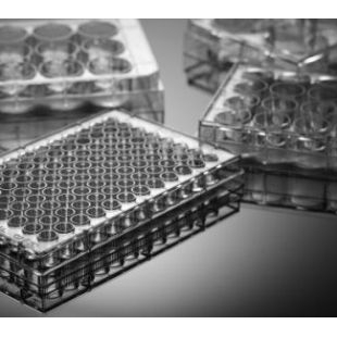 上海百千定制6孔12孔24孔96孔多聚赖氨酸包被细胞培养板 明胶蛋白预处理96孔板 PDL包被培养板