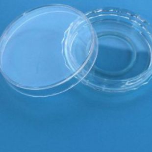 上海百千60mm激光共聚焦顯微鏡專用培養皿 免疫熒光用培養皿 活細胞觀察用玻璃底無菌小皿