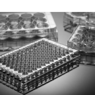 上海晶安3D类器官用6孔96孔超低吸附性细胞培养板