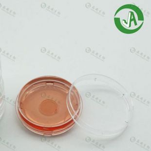 上海晶安PLL多聚赖氨酸包被35mm玻璃底培养皿