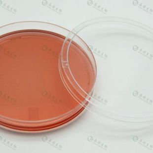 上海晶安层粘连蛋白包被的35mm60mm100mm细胞培养皿
