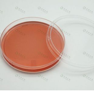 上海晶安PLL多聚赖氨酸包被35mm60mm100mm细胞培养皿