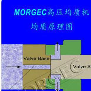 上海高压均质机，默格微射流均质机，MORGEC高压均质机，大肠杆菌均质机