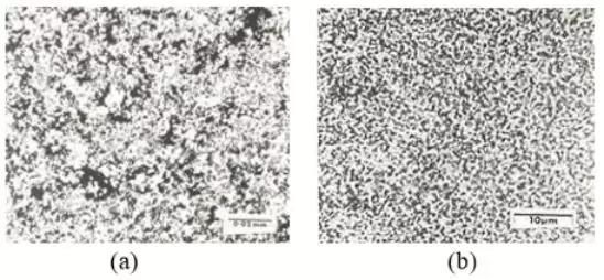 1.jpg 图10、900℃烧结共掺杂Ag-W样品5小时的典型显微照片：（a）0.14%共掺杂Ag-W，（b）1.52%共掺杂Ag-W.jpg