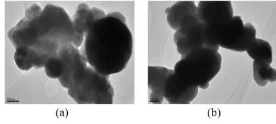 图11、900℃烧结5h样品的典型TEM照片显示：（a）钨颗粒间的Ag-W基体和颈部形成；  （b）质量分数为0.51%C o的Ag-W，钨颗粒间的基体和颈部形成.png