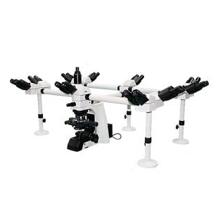 NEXCOPE 十人共揽生物显微镜NE900系列