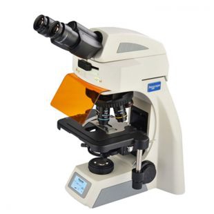 NE620LED实验级荧光显微镜