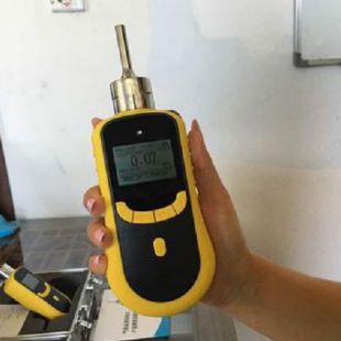 青岛路博LB-BZ泵吸单一有毒气体检测仪