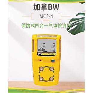 加拿大BW MC2系列四合一气体检测仪