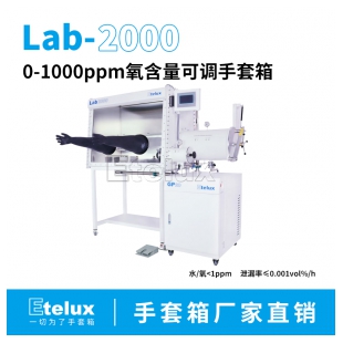 伊特克斯 Lab2000 0-1000ppm氧含量可调手套箱 自主品牌 