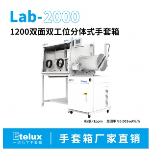 伊特克斯 Lab2000 1200双面双工位手套箱 中科院 质保期长 循环净化