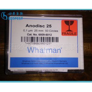 GE whatman Anopore无机膜Anodisc2AO膜板氧化铝膜6809-6012