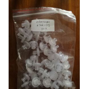 GE Whatman 聚四氟乙烯Puradisc 13mm 0.2µm针头式滤器6766-1302