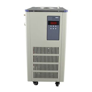 上海科升低温冷却液循环泵DLSB-10L/10-120℃