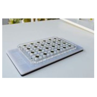 磁性分离器  用于96孔PCR板