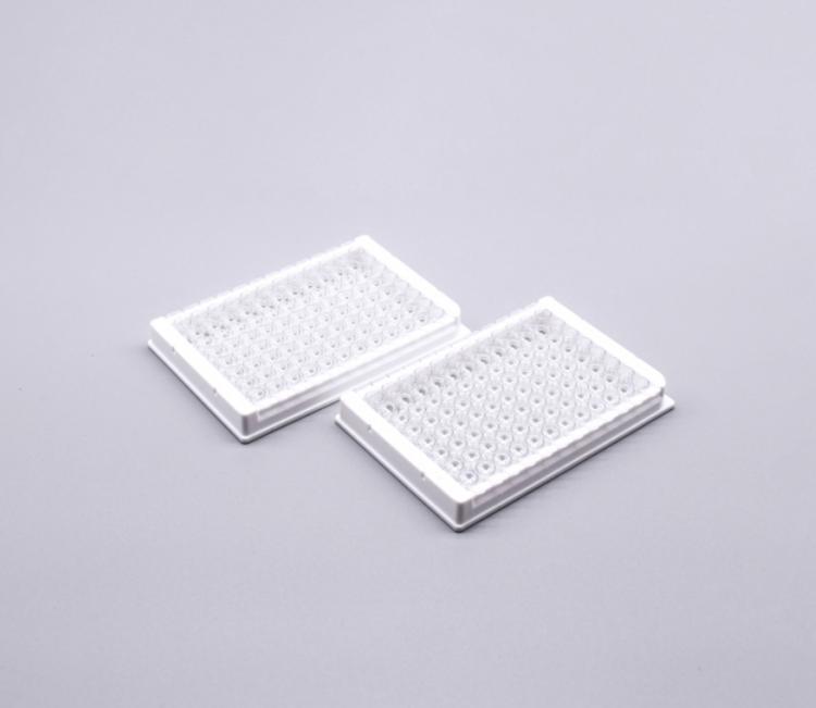 EDO酶标板，透明，1355002 酶标板，透明，可拆卸8孔条，白色框架