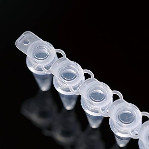 巴罗克60-0008 PCR8联，凸盖，透明，凸盖设计，贴合紧密，有效避免样品挥发流失