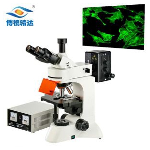健康管理研究院医学细胞精子健康状况观察正置四色三目荧光显微镜