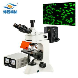 健康管理研究院医学细胞精子健康状况观察正置四色三目荧光显微镜