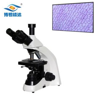 厂家肾脏切片观察生物显微镜