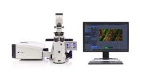 中南大学全光谱共聚焦显微镜系统成交公告