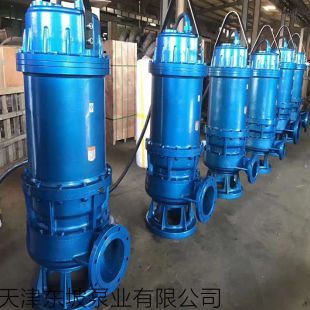 天津东坡耦合器污水泵