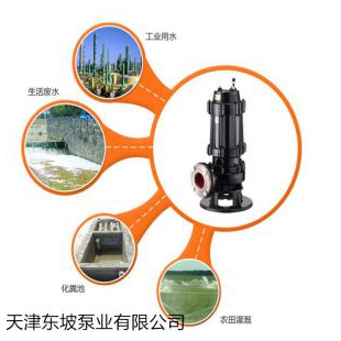 天津东坡耦合器污水泵
