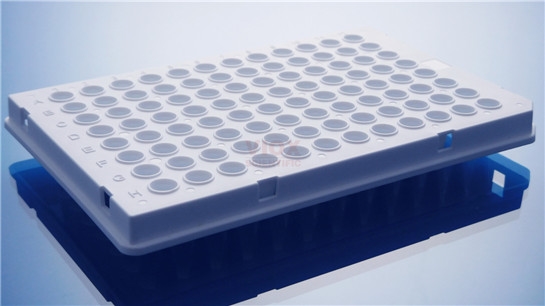 Roche 480專用PCR 96孔板