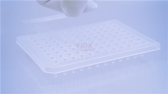 荧光定量PCR 板光学封板膜.jpg