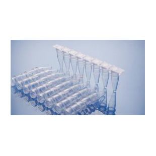 0.2ml PCR透明八联管