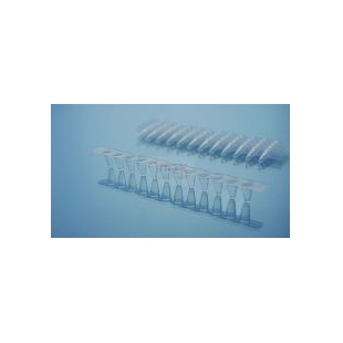 PCR管0.1ml PCR十二联管