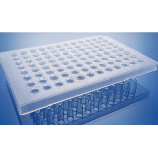 0.2ml透明半裙边96孔PCR板